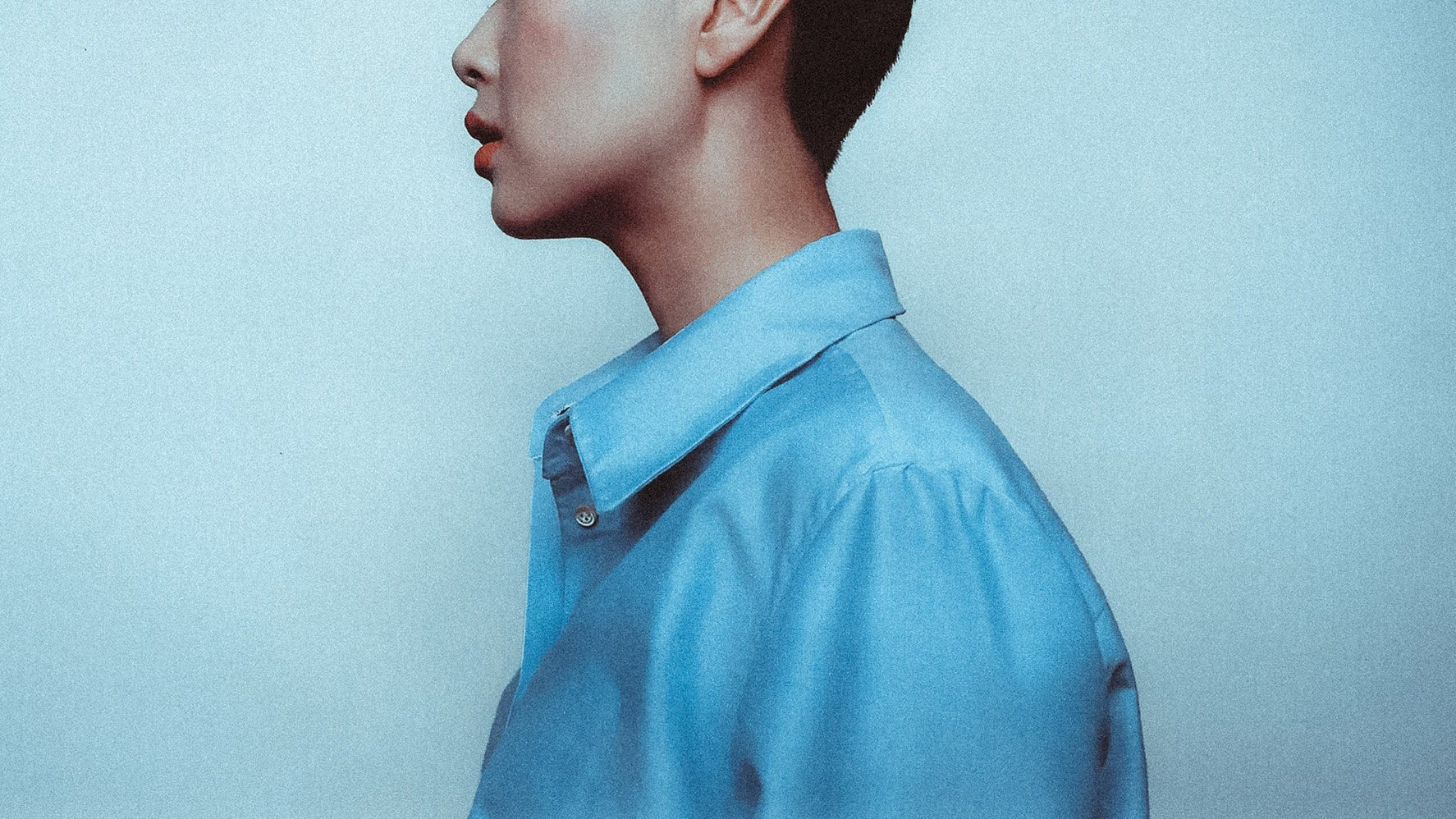 Shirthead - Victoria Jin Online