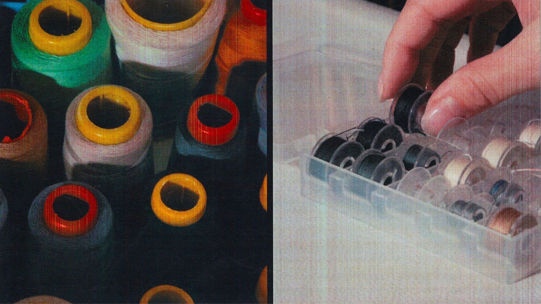 The Reset - Victoria Jin Online